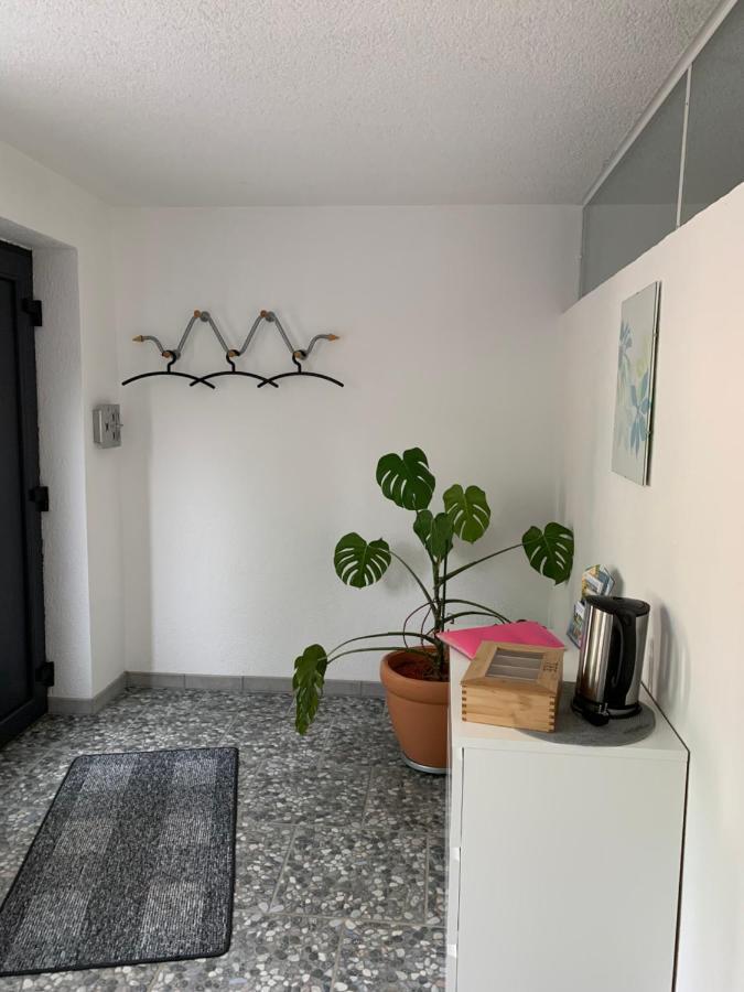 Kraichgauer - Cent Apartment Reichartshausen Екстериор снимка